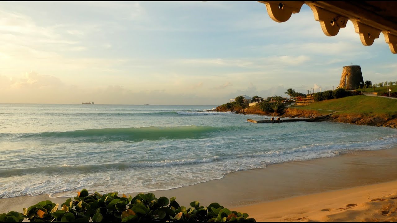 Hawksbill Resort, Antigua, November 2024. Snorkelling from the shore using an Akaso EK7000 camera.