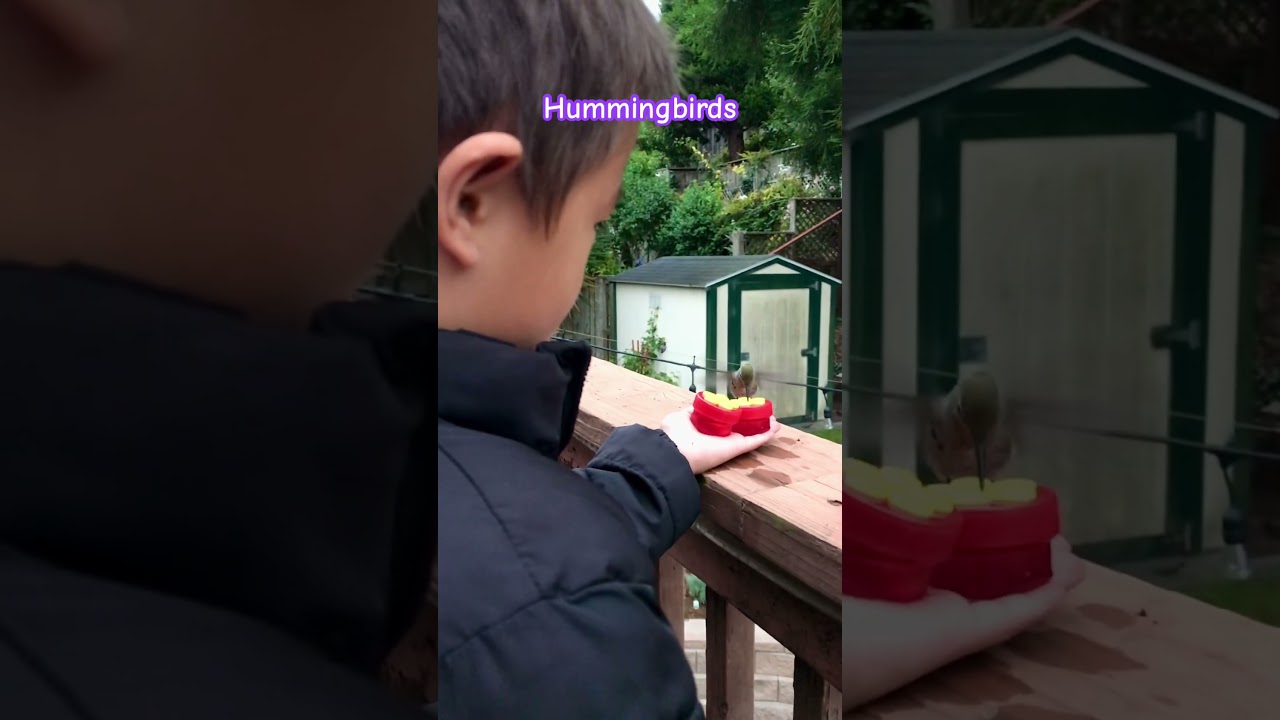 Hand feeding 