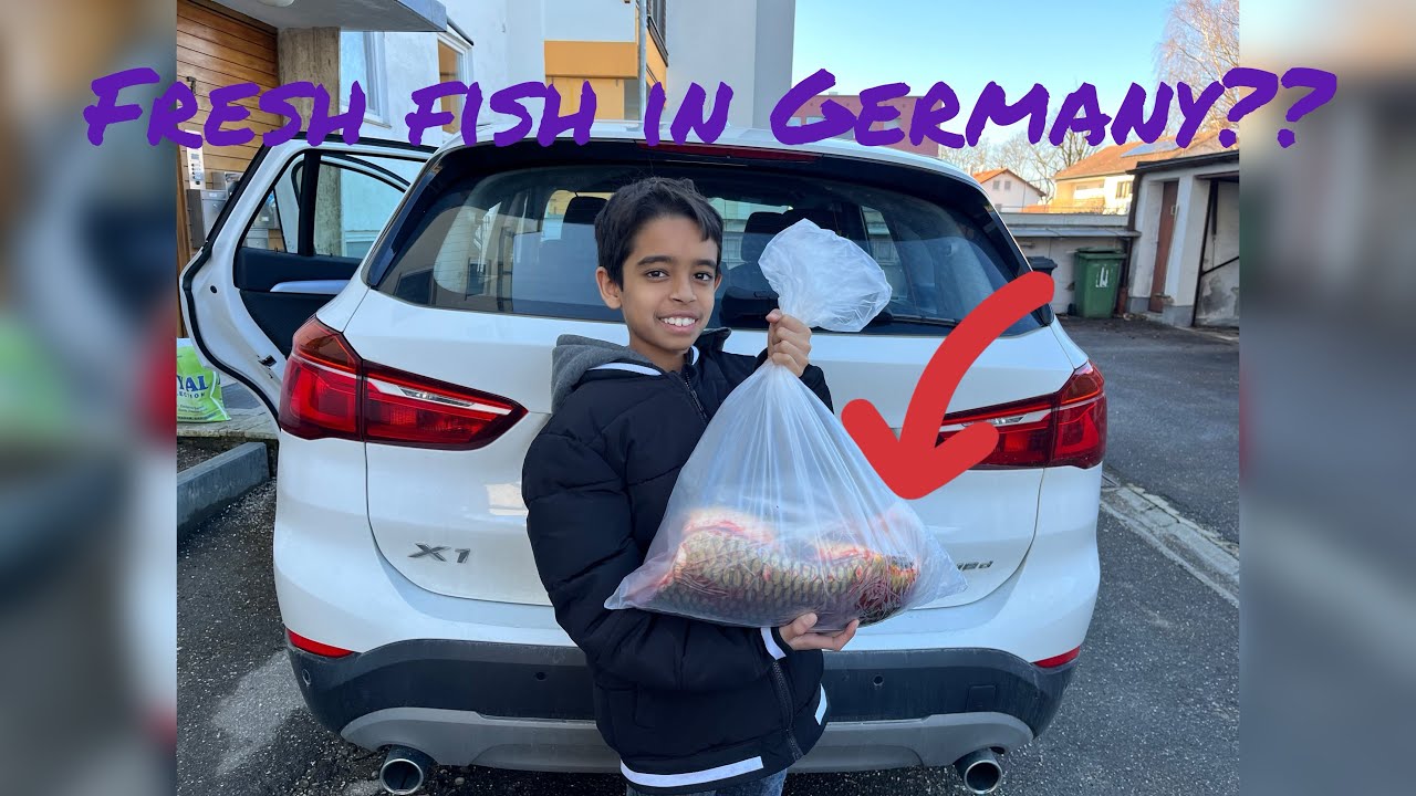 Where to get fresh fish 🎣 in Germany #munich #fish #germany