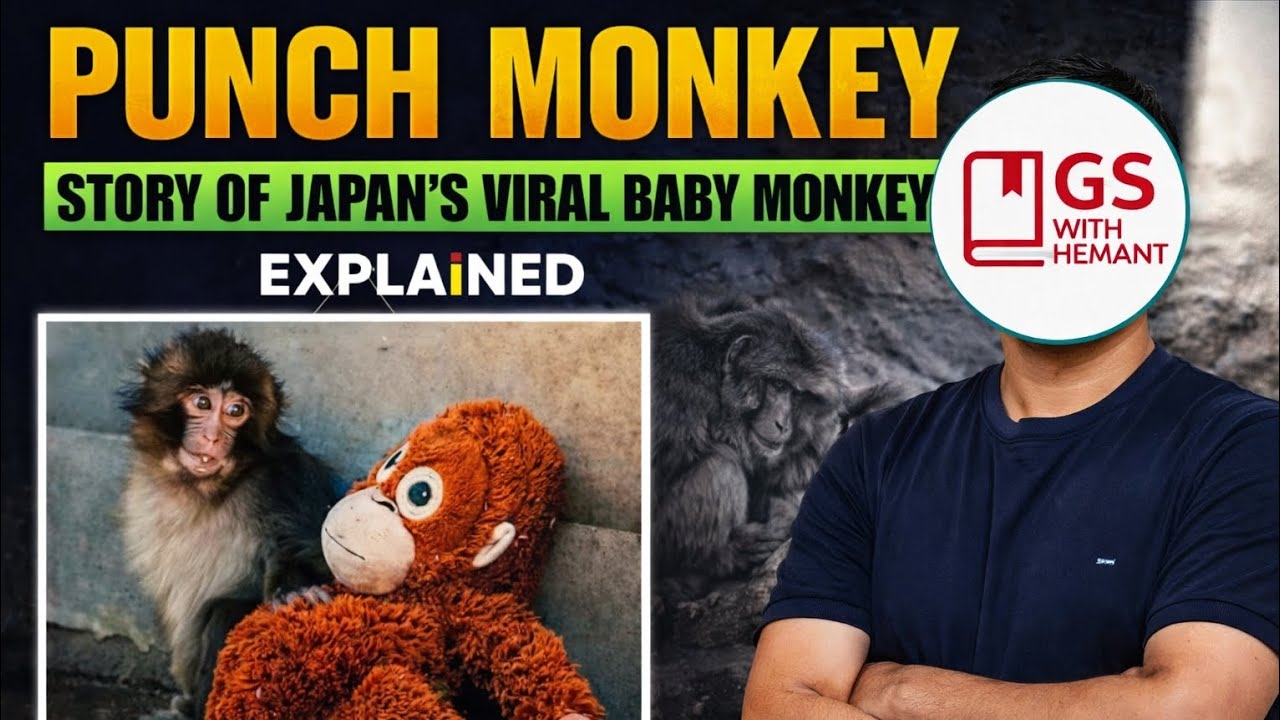 Punch Monkey 🐒 | Japan ke Viral Baby Monkey ki Puri Kahani Explained