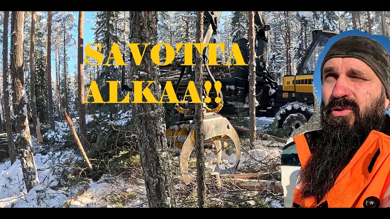 Savotta synkeän suon takana | Hakkuun aloitus jäätien päässä