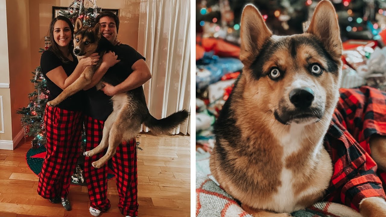 PUPPY'S FIRST CHRISTMAS || CHRISTMAS 2020 VLOG || DOG OPENING CHRISTMAS PRESENTS