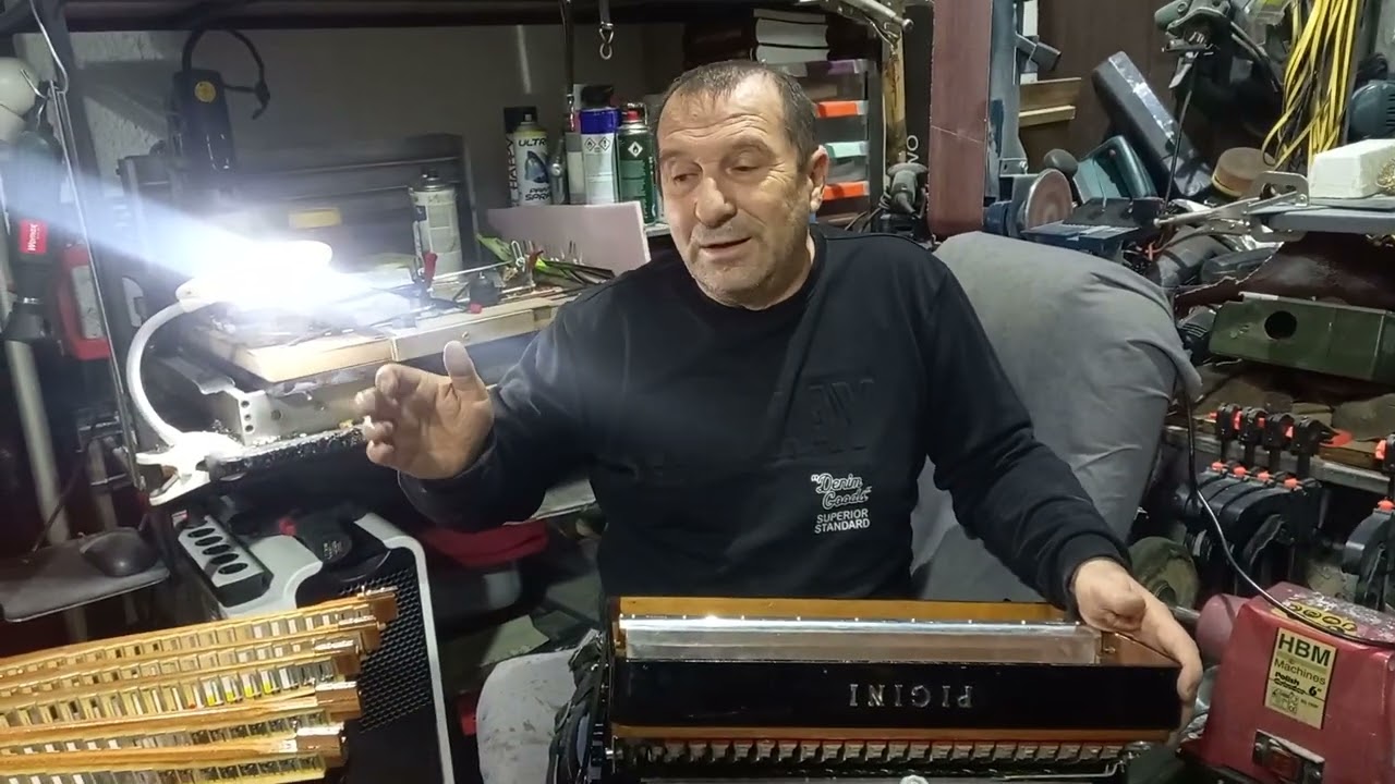 Servis harmonika Dane Loznica +38164 420 5721
