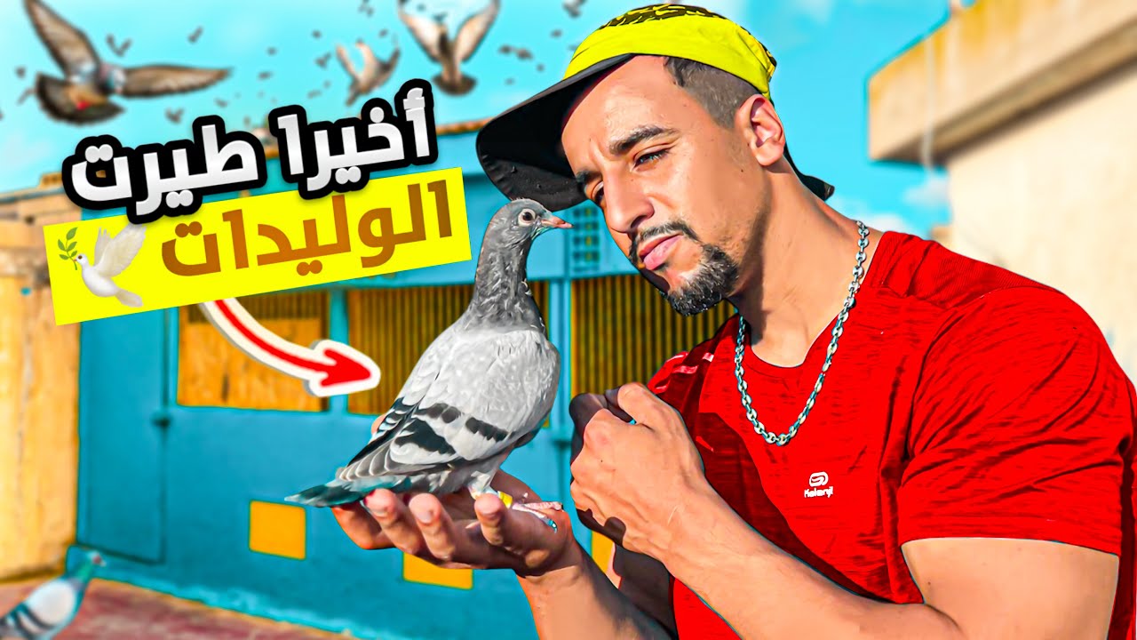 يوم ملكي😍مع وليدات حمام زاجل أول مرة يطيرو شوفو فين مشاو 😱