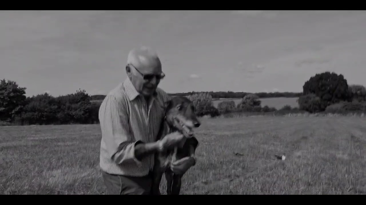english deerhounds  mov 1080p
