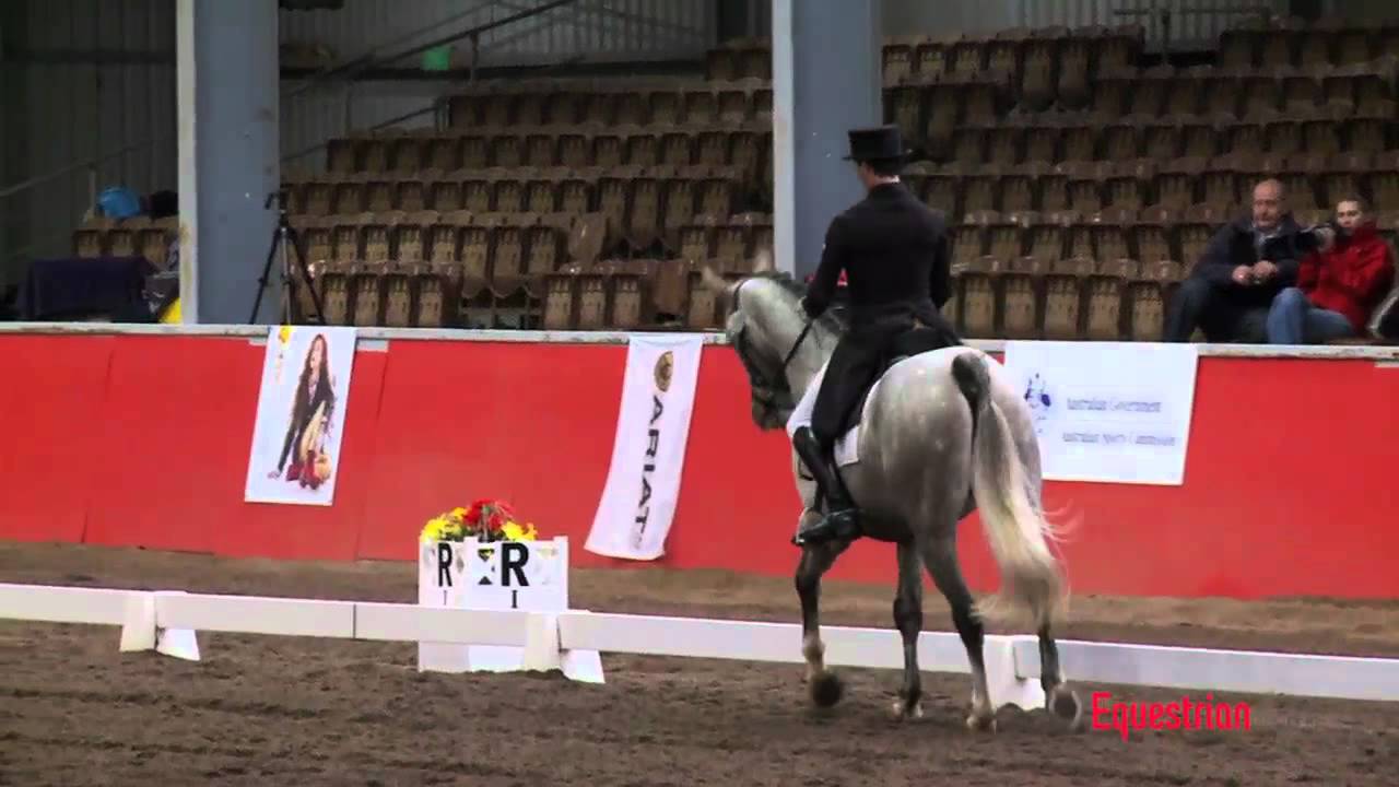 Крис Хайт и Дартаньян CCI 3* Выездка на M3DE