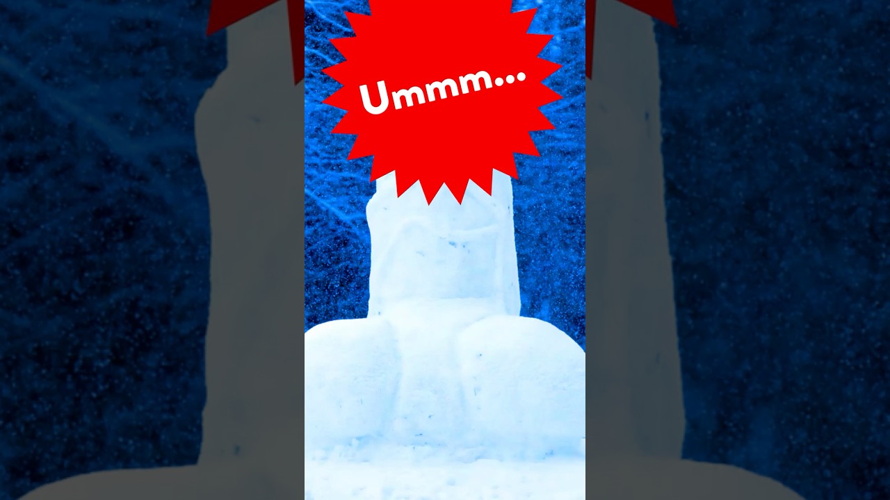 The Swedish Snow Penis Saga #sweden #norway #funnyvideo
