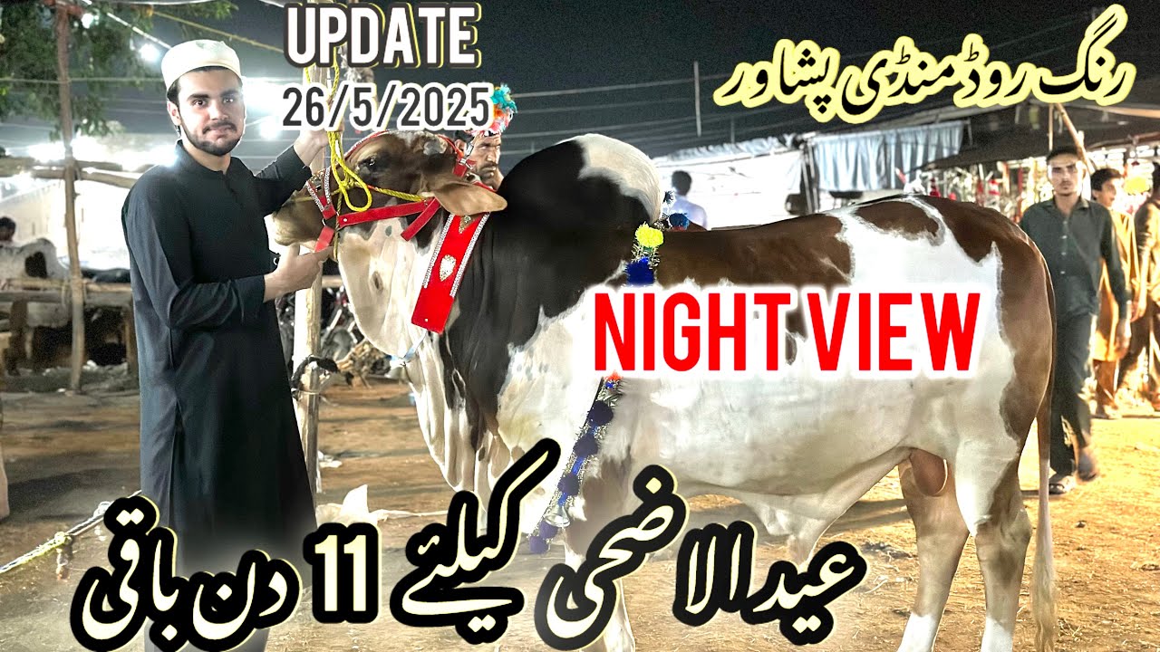 Ringroad Mandi peshawar/Mandi mai bohat rash/night mela/Eid-Ul-Adha ke leya 11 din baki