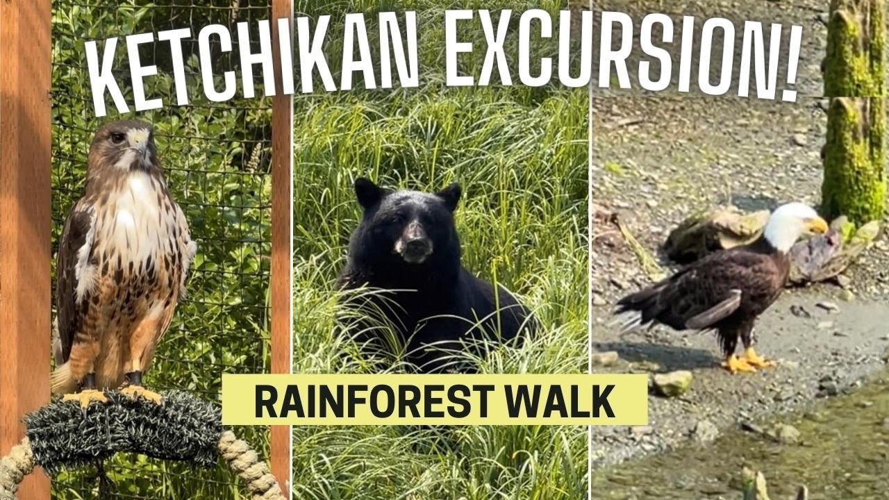 Alaska Cruise: Is the Ketchikan Sanctuary Rainforest Walk Worth It?