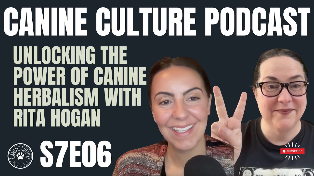 Unlocking the Power of Canine Herbalism with Rita Hogan | S7E6