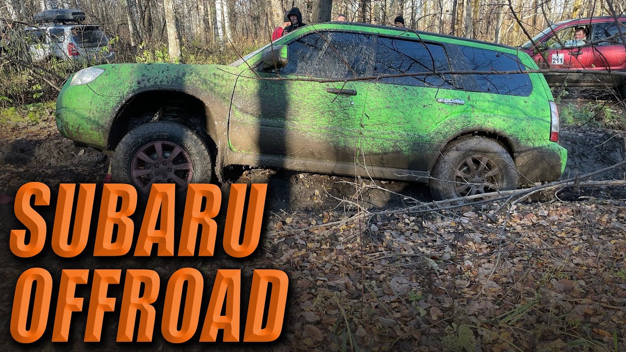 10 минут чистого OFFROAD SUBARU FORESTER