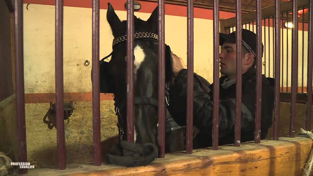 Profession Cavalier chez BENJAMIN AILLAUD