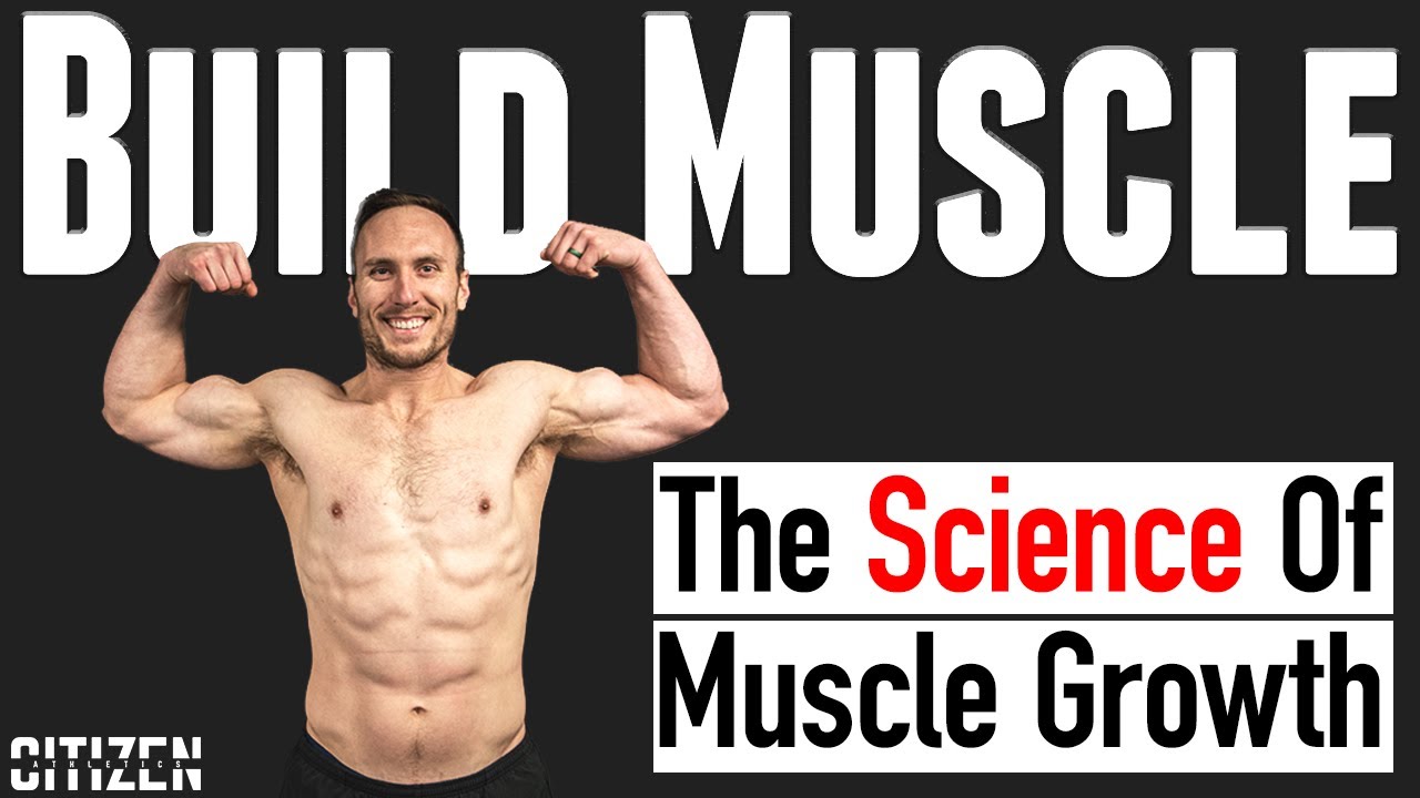 How to Build Muscle: Science Based Muscle Growth - The Mechanisms Of Hypertrophy