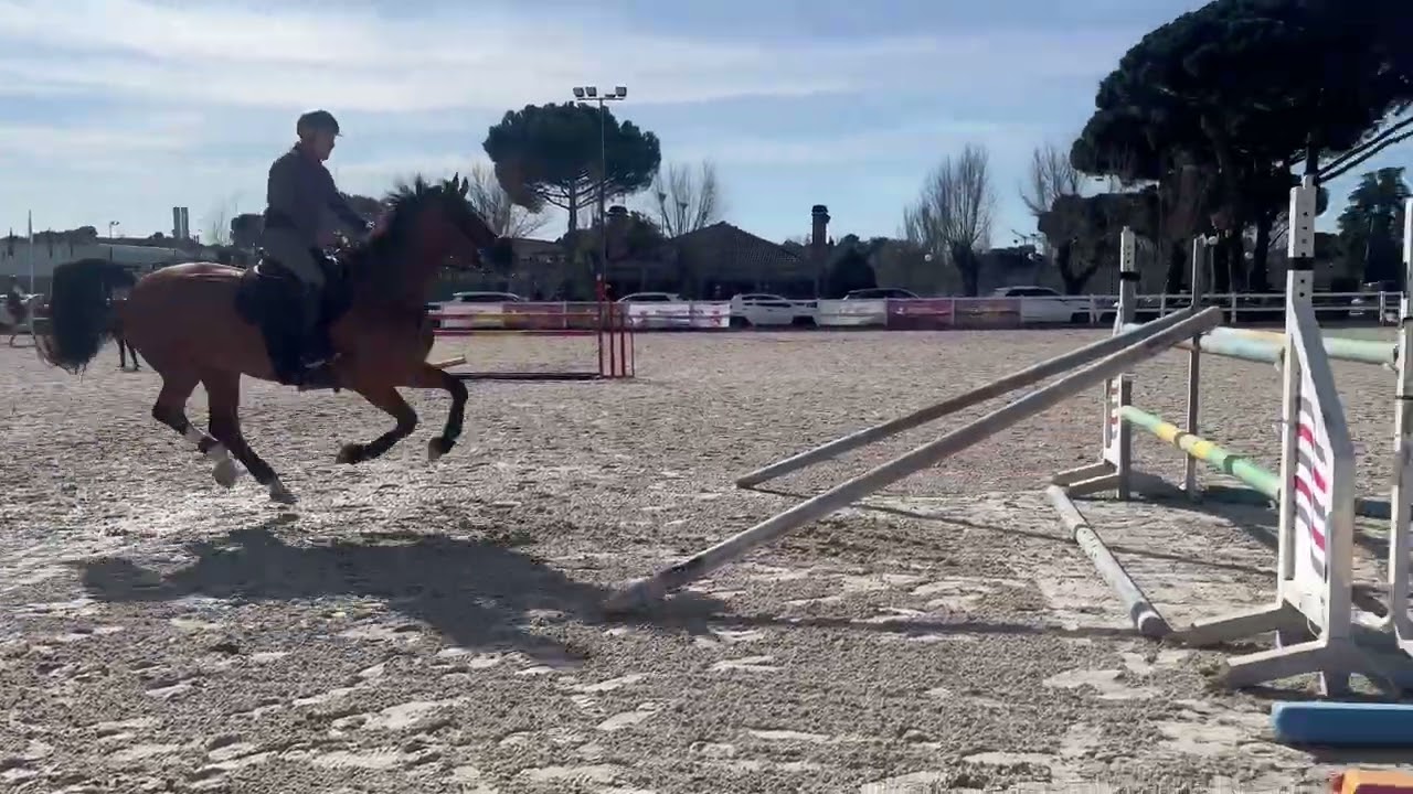 2026PapáIceAgeTrabajoUCJCFeb (04)