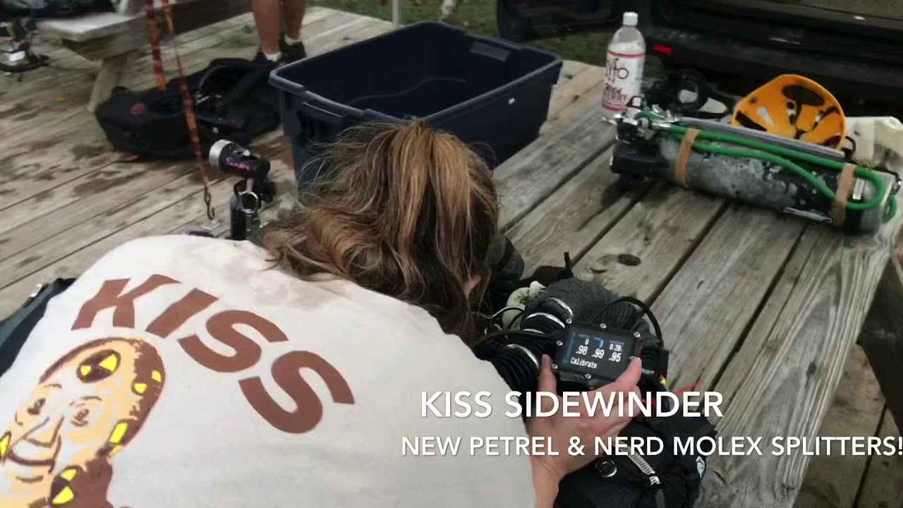 Kiss Sidewinder molex splitter for NERD & Petrel; plus 4 pin can connect
