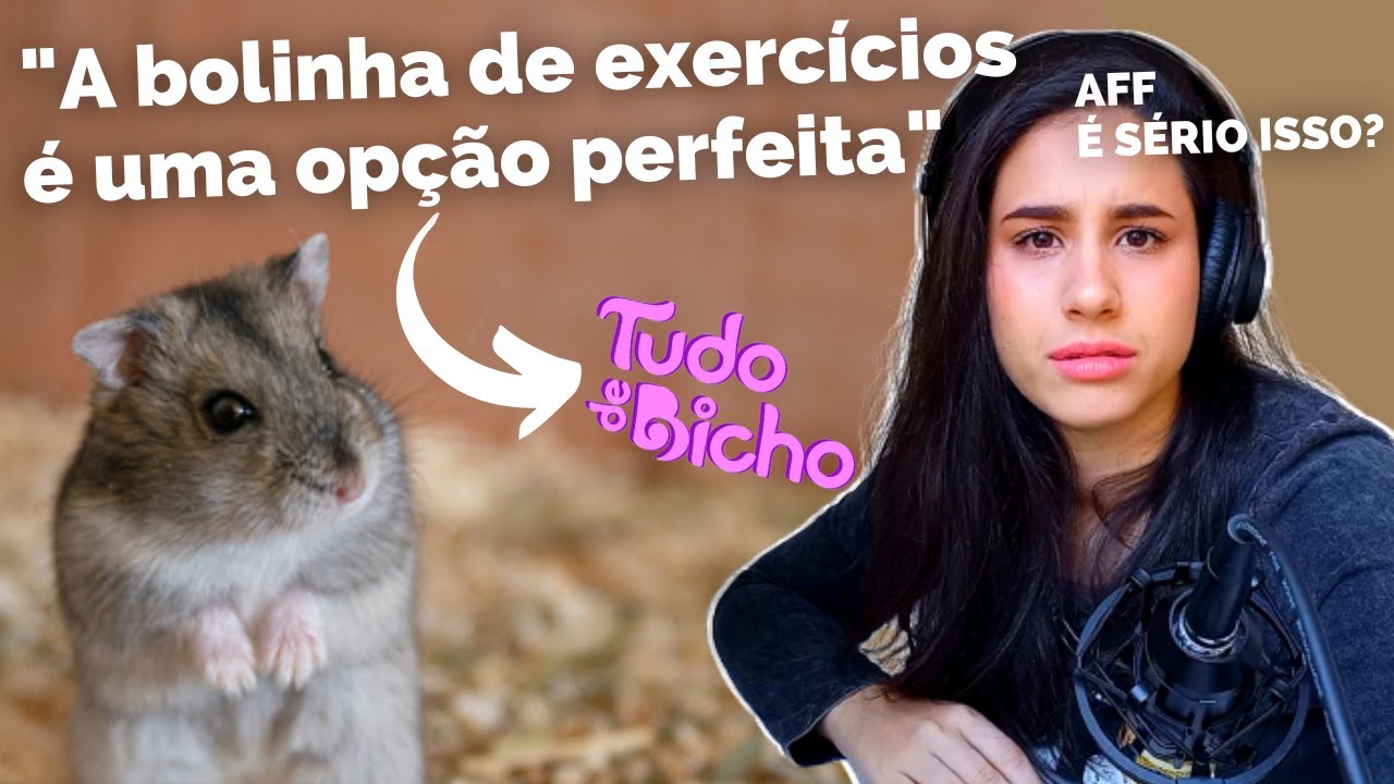 Reagindo a um post CHEIO DE ERROS sobre CUIDADOS COM HAMSTERS 🐹☠️