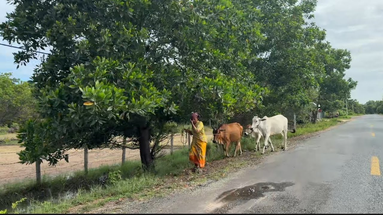 Road Trip From Phnom Penh To Battambang Province, Cambodia