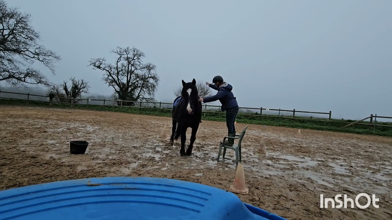 Equifeel Caval go 2025 / Marina Gautier - Ti'noir / monté 2 - manche 1