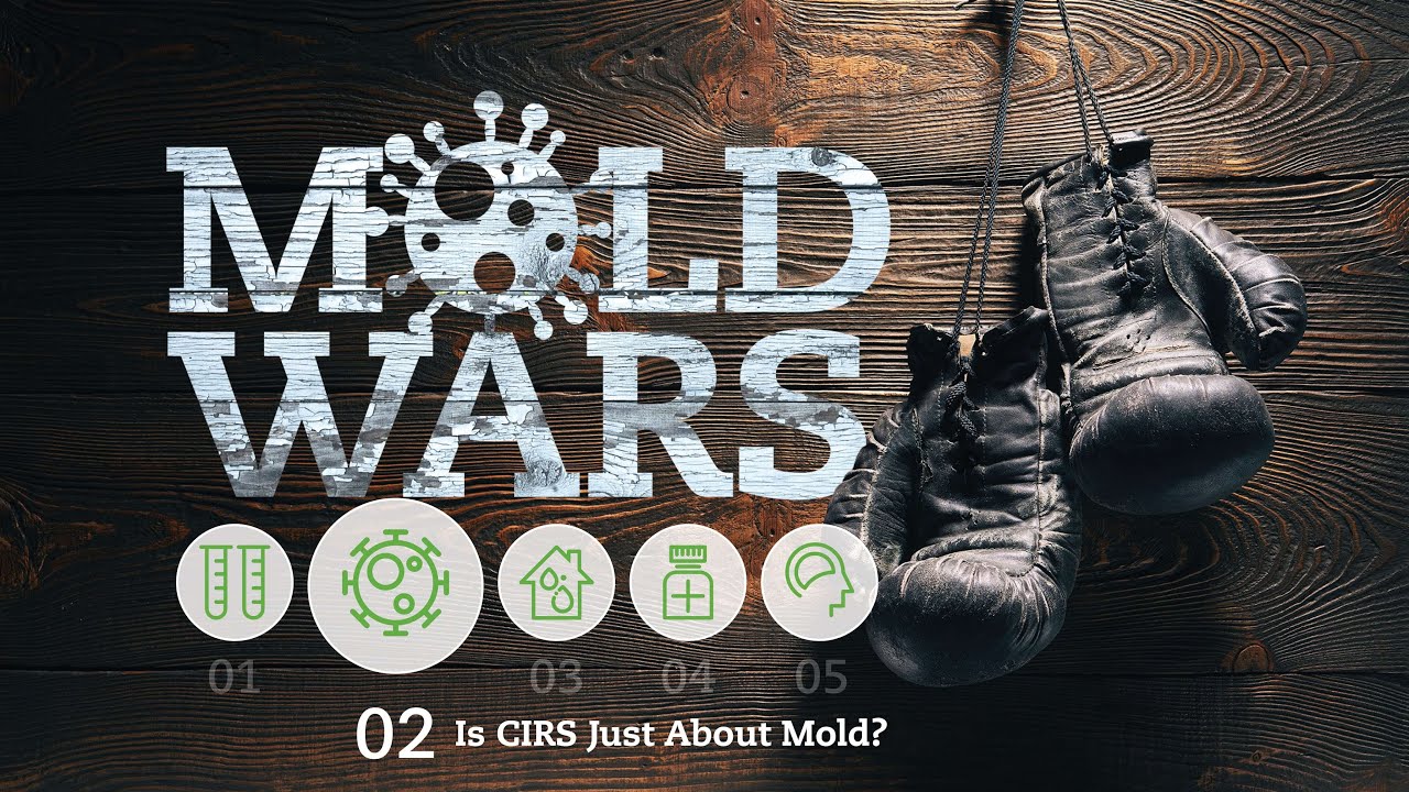 Chronic Inflammatory Response Syndrome: Is mold really the issue?