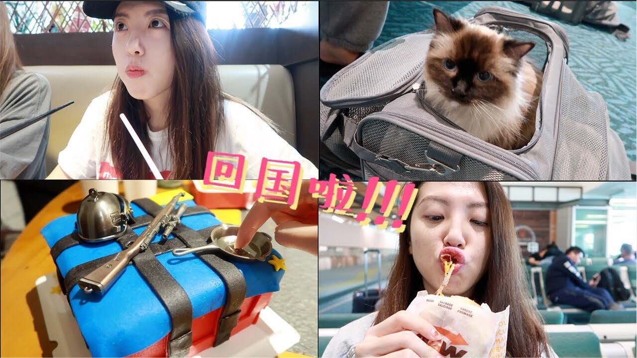SleepySushi Vlog｜和我一起坐飞机回国过暑假啦｜带猫咪上飞机｜“网恋”奔现啦