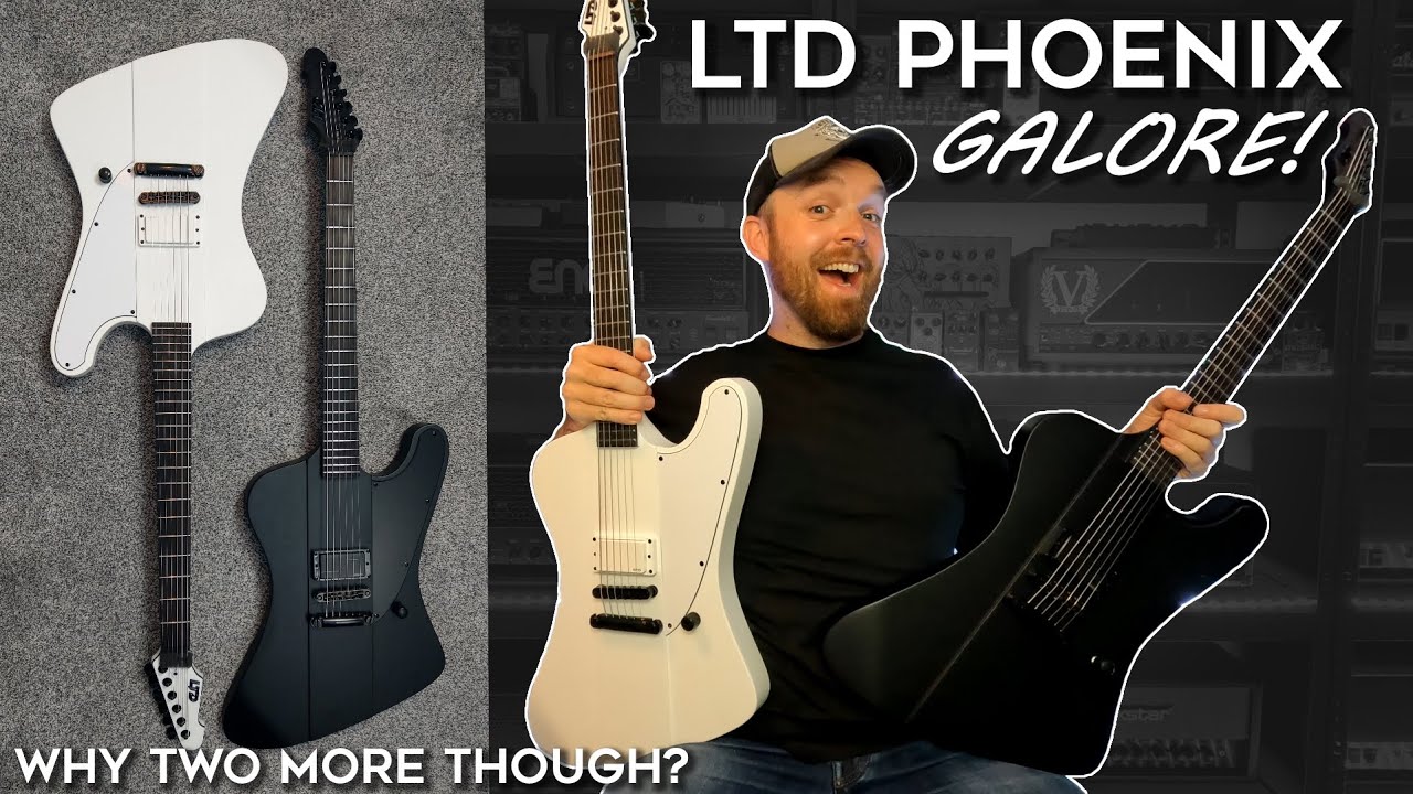 Why Did I Get These Duplicate Guitars?? My Masterplan! (LTD Phoenix Black & Arctic Metal)