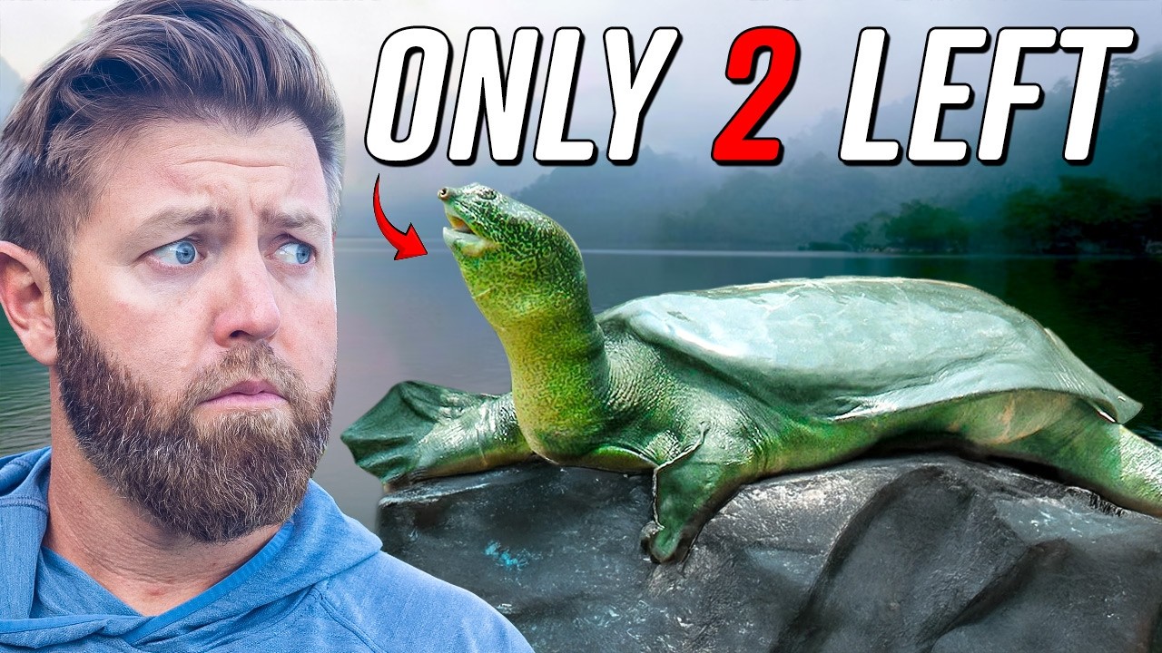 5 More Animals That Are About To Go Extinct