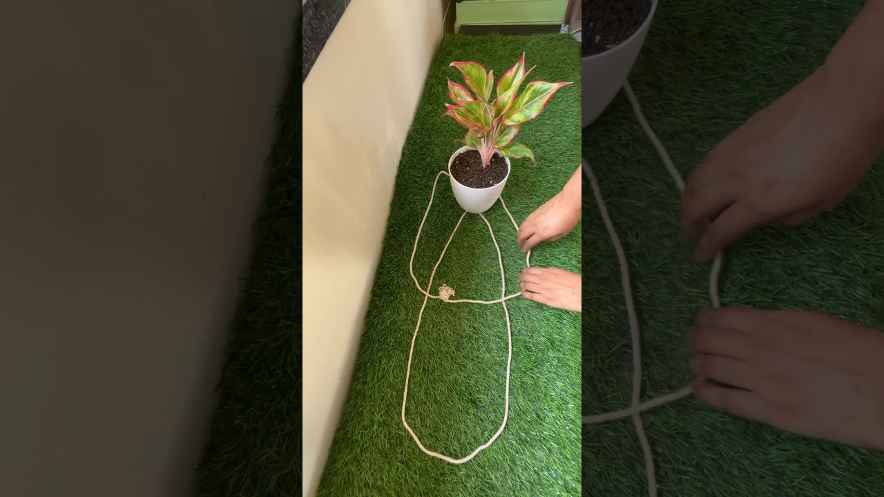 How to tie a knot for hanging planters? #ashortaday #gardening