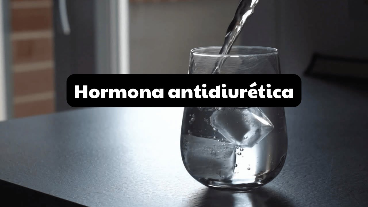 FISIOLOGÍA de la HORMONA ANTIDIURÉTICA