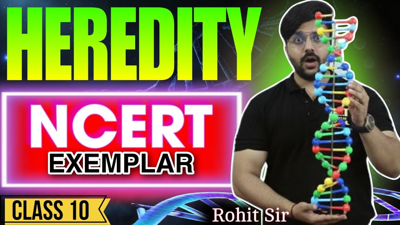 Heredity NCERT Exemplar Solutions | Class 10 Science | Most Important Questions