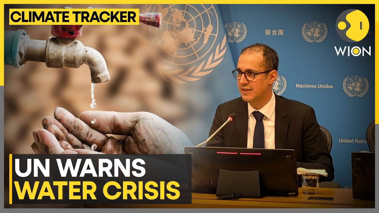 UN Report Urges Shift From Crisis Response To Bankruptcy Management  | WION Climate Tracker