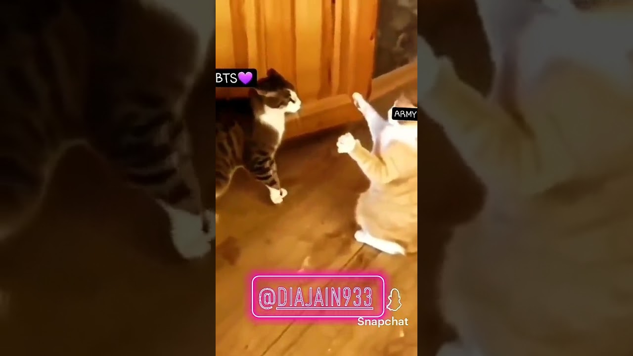 bts 💜🔥