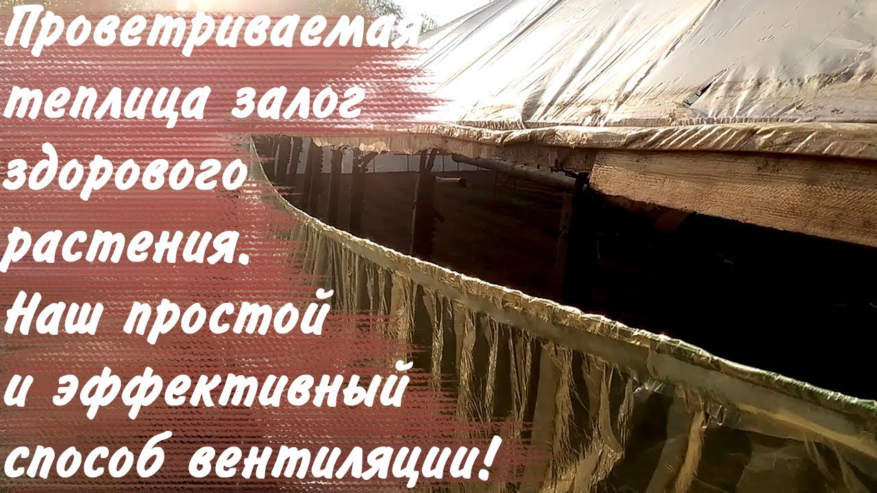 Как проветривать теплицы просто и эффективно без лишних затрат!