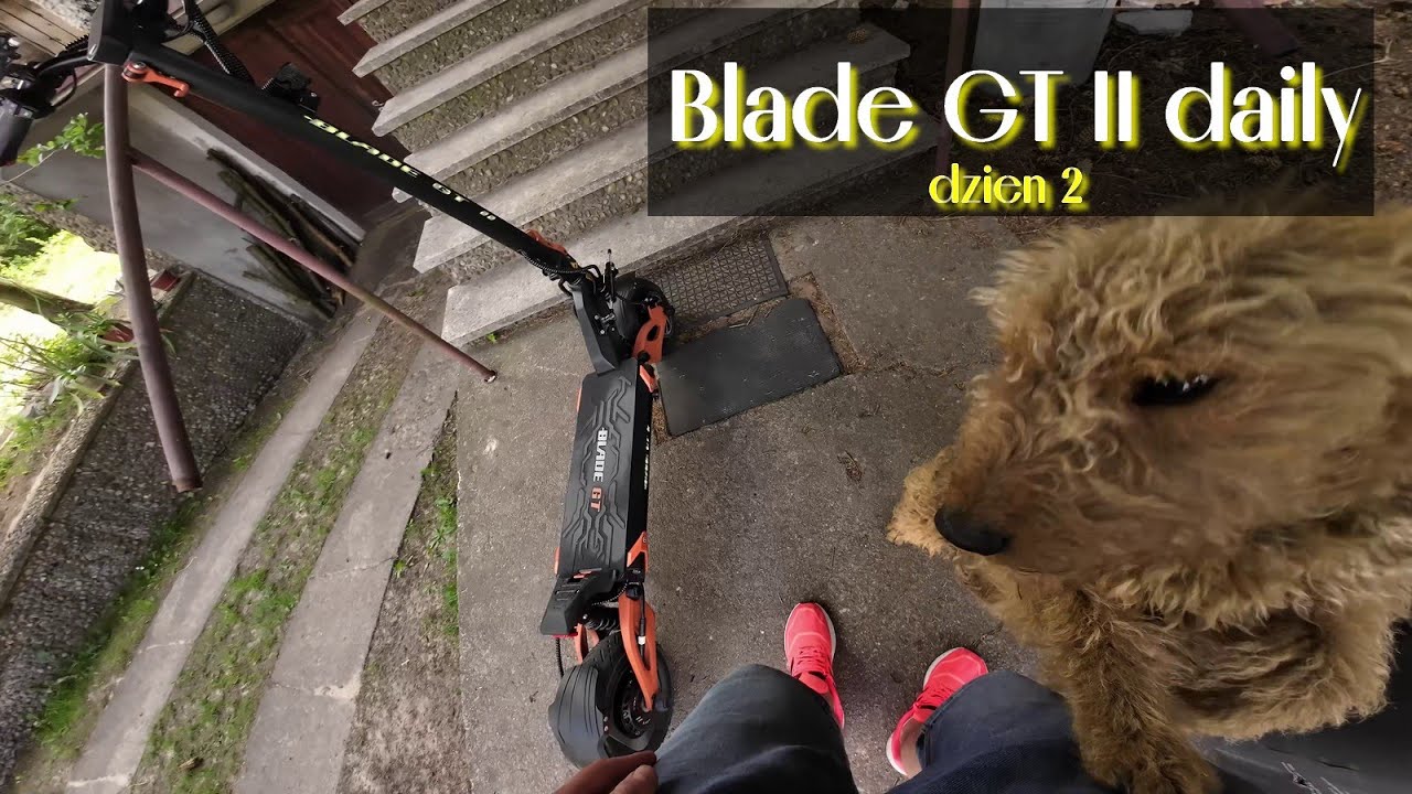 Odwiedziłem Miśka :) Drugi dzień z Teverun blade gt 2 - skąd go mam? Co to jest...