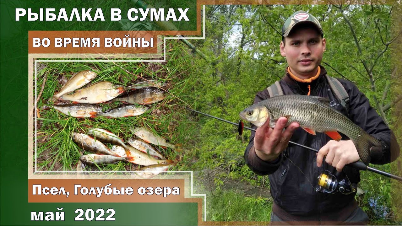 БЕРЕГОВАЯ рыбалка в городе СУМЫ в ВОЕННОЕ ВРЕМЯ. ГОЛАВЛЬ и ОКУНЬ. МАЙ 2022. Псел и Голубые озера