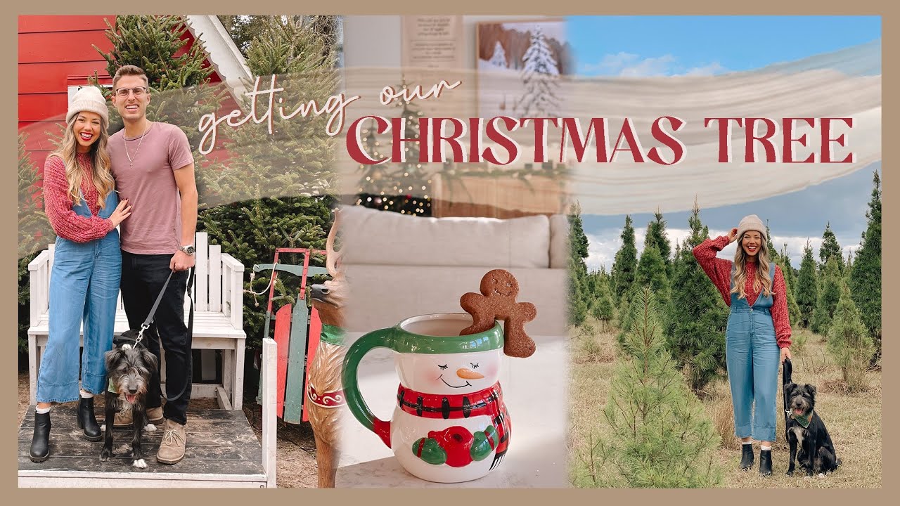 COZY DAY IN THE LIFE | cutting down our Christmas tree & making a holiday bucket list! 🎄