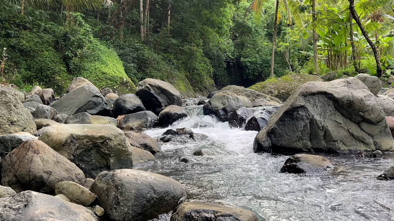 Night River Sounds for Sleeping Fast 🌊 Calm Nature Meditation & Stress Relief