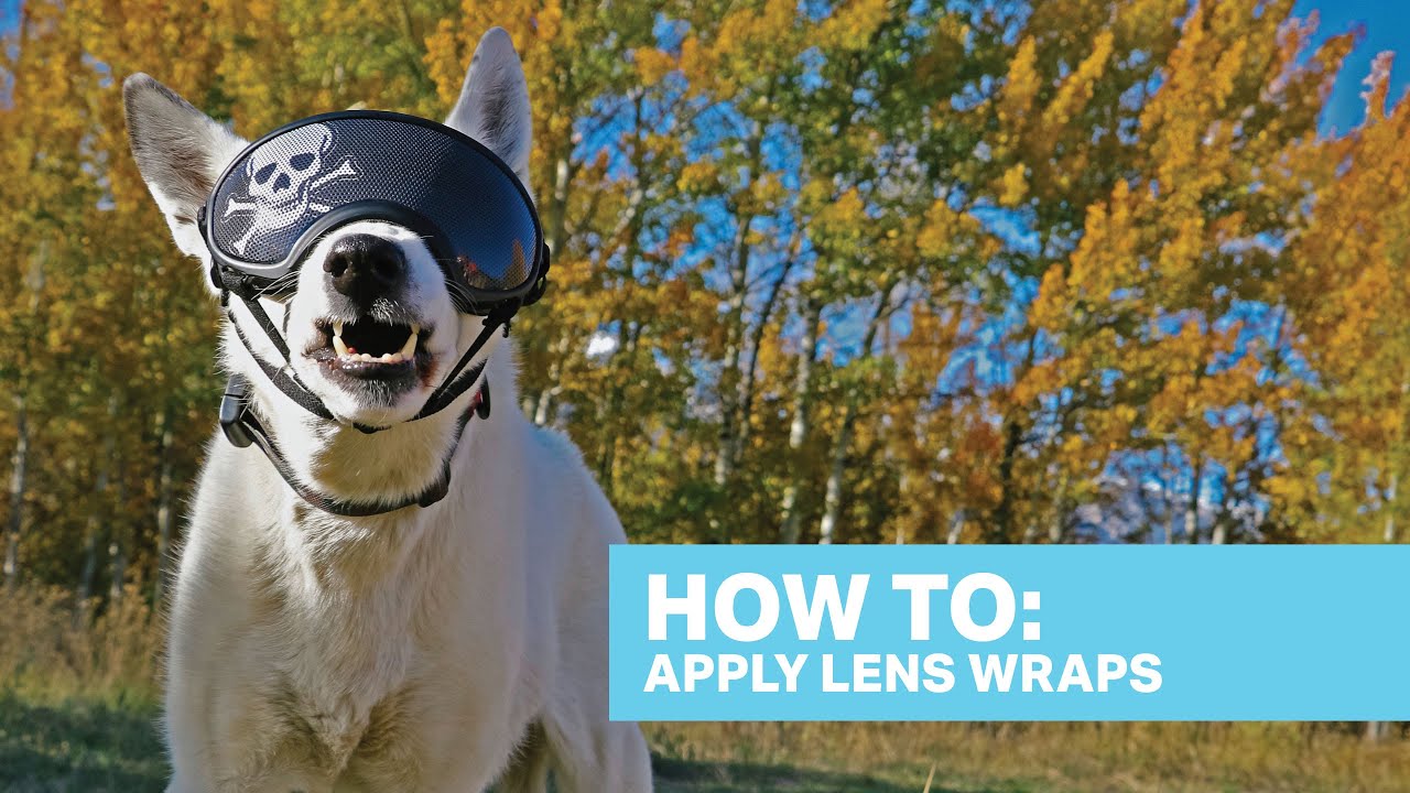 How To: Apply Rex Specs Dog Goggle Lens Wraps