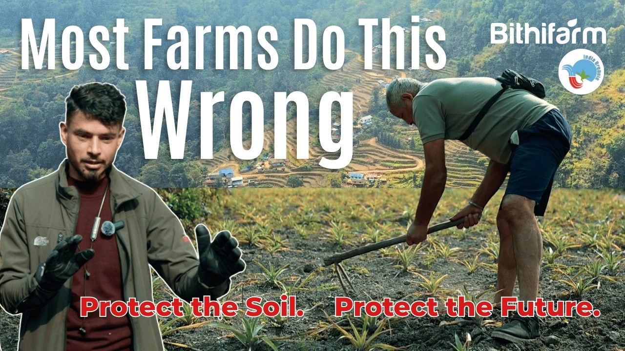 This Is Why Himalayan Turmeric Grows Differently  ||  Bithi Farm