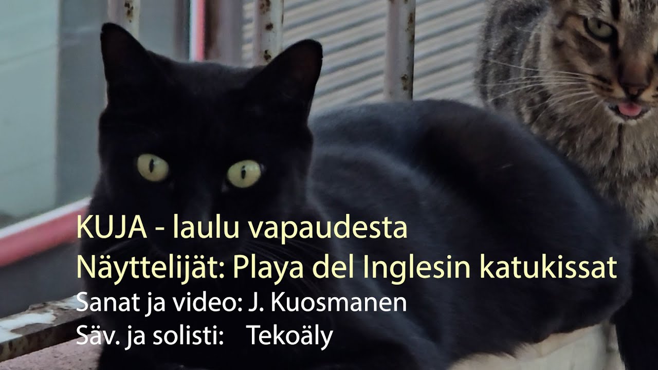 KUJA -laulu vapaudesta