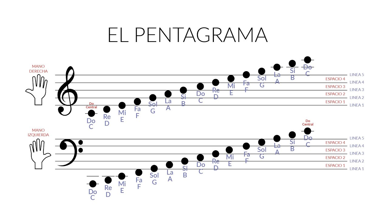 Las Notas Musicales y el Pentagrama (Clave del Sol y Fa)