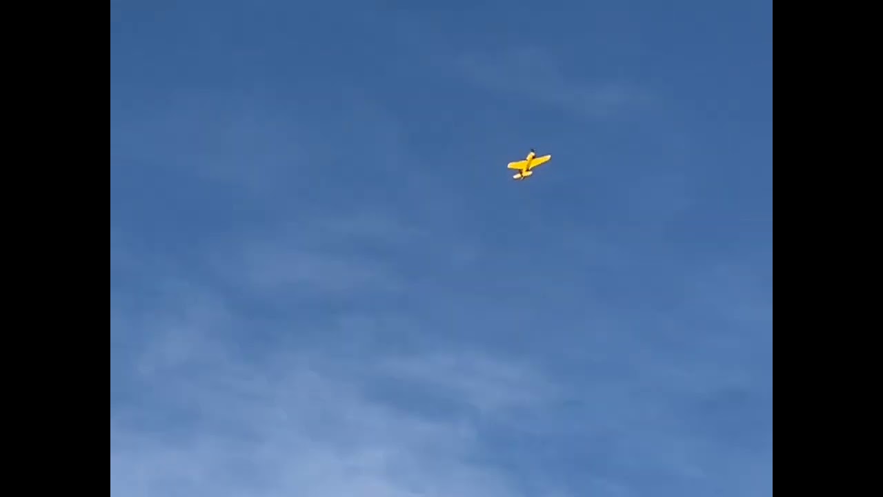 Seagull bearcat cat with saito 90 r3