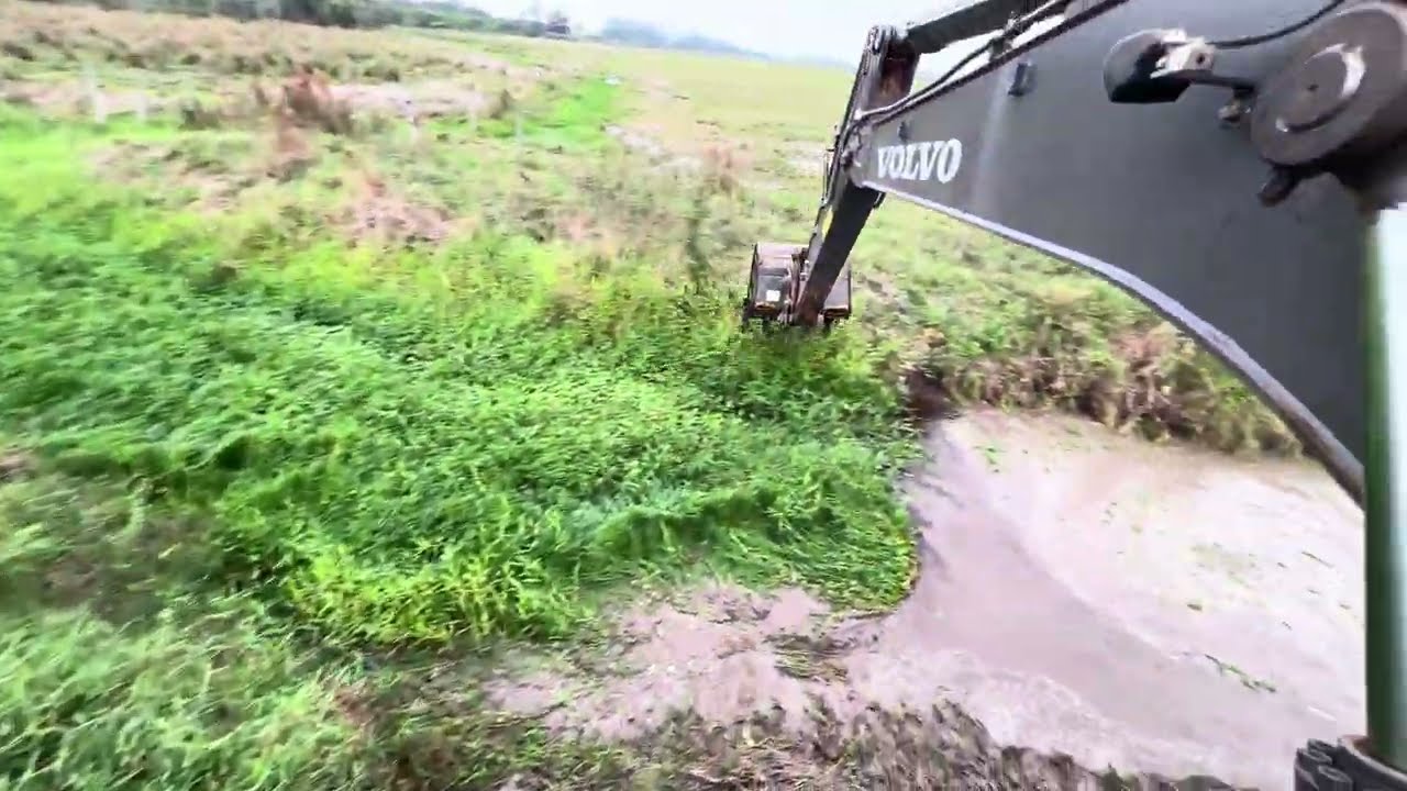 LIMPANDO MATOS DA VALETA 🌿 Escavadeira hidráulica