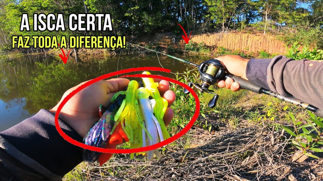 🚨 Pescaria de TRAÍRAS! Tentei de tudo, as traíras estavam impossíveis! Até que fiz isso🔥