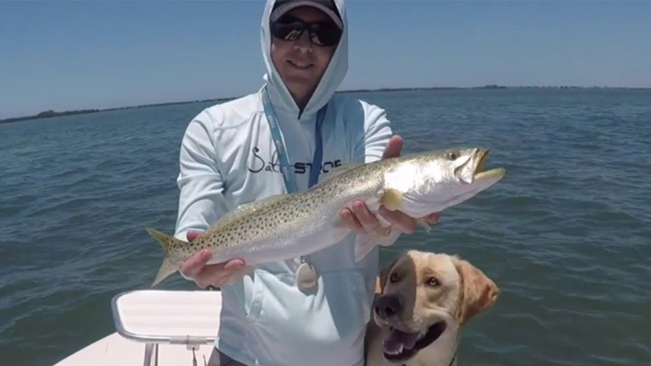 Pro-Cure Fish Scent Challenge. Are Your Results Like This?