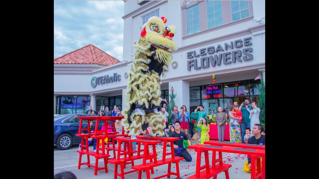 HV Lion Dance - Drum Show/Bench & Traditional Routine - Elegance Flowers