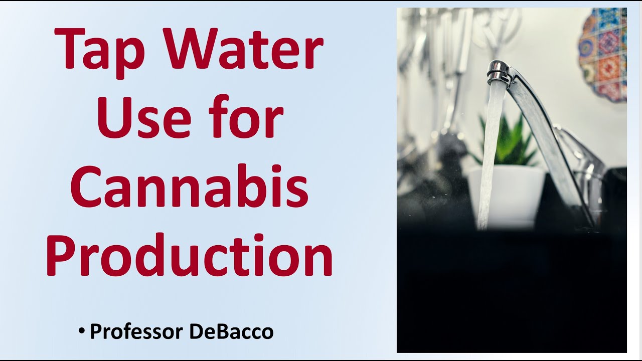 Tap Water Use for Cannabis Production