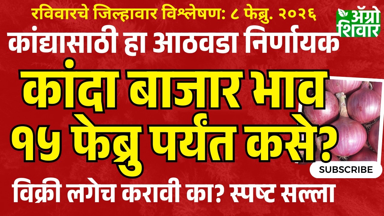 kanda market bajar bhav | १५ फेब्रुवारीपर्यंत कांदा वाढणार की घसरणार? स्पष्ट विश्लेषण