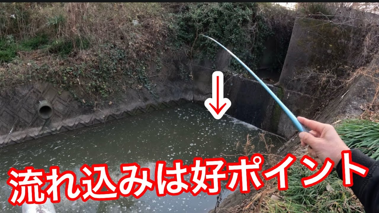 「流れ込みは好ポイント」冬でも釣れる。　#釣り
