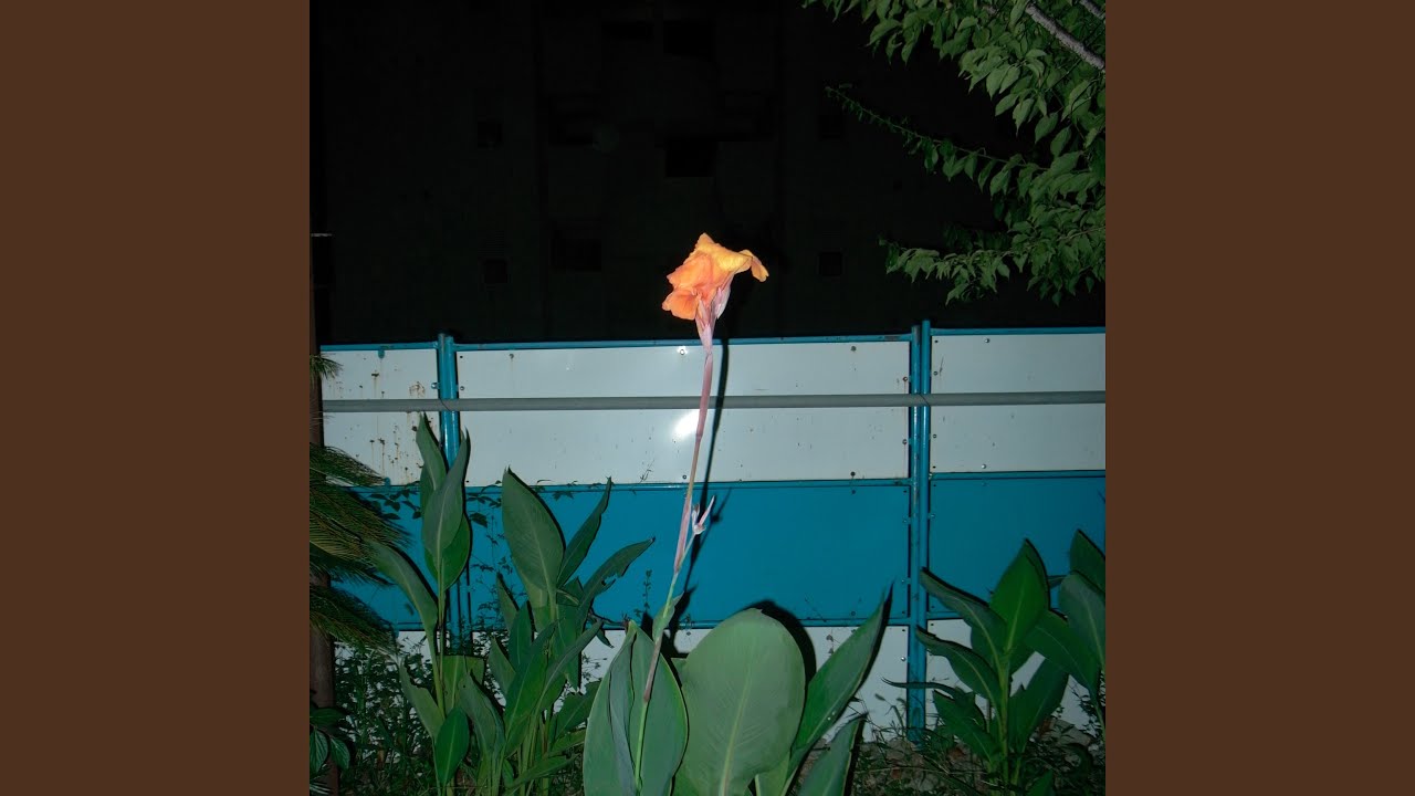 upright