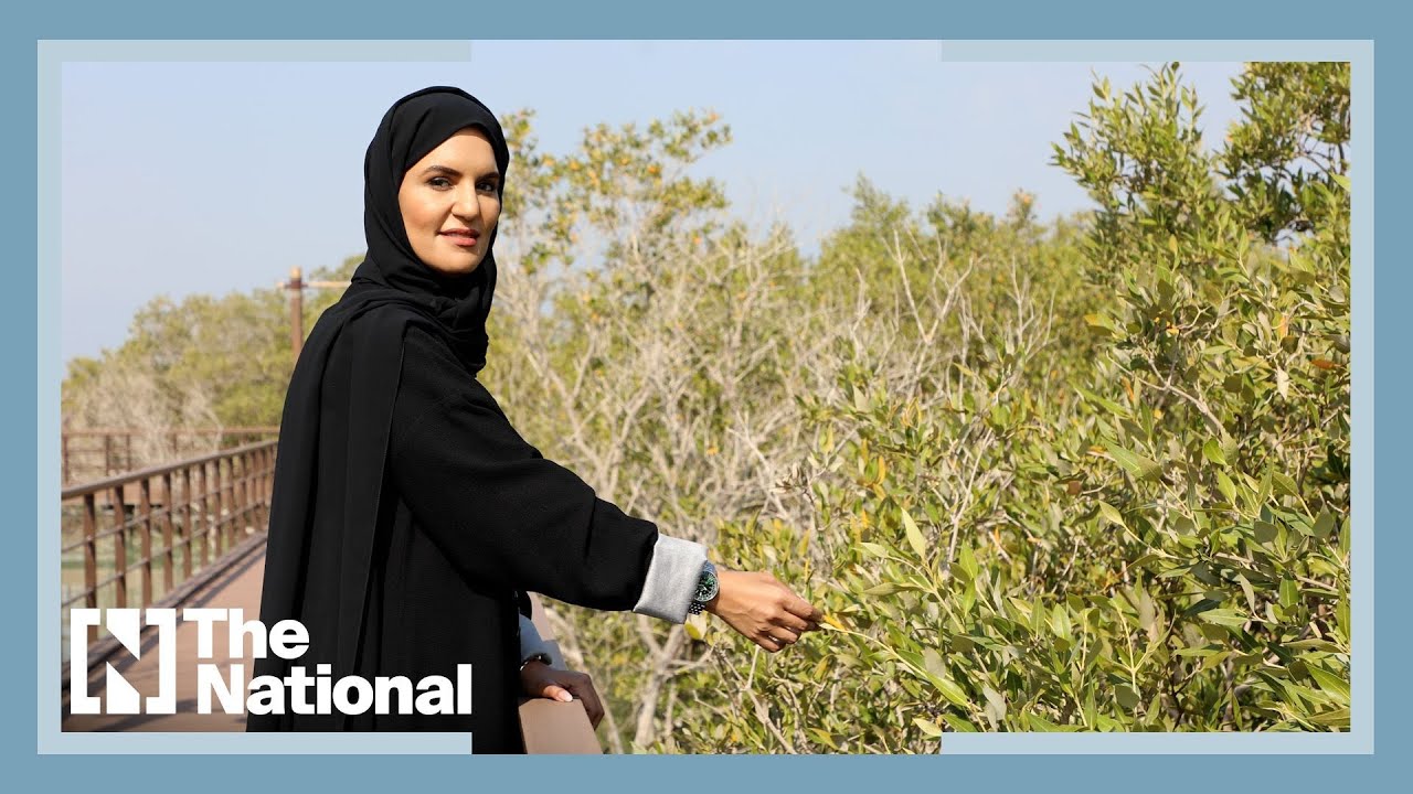 UAE&rsquo;s first female aircraft engineer creates a mangrove forest
